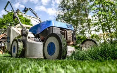 Comment choisir le type de robot m&eacute;nager adapt&eacute; &agrave; mes besoins et &agrave; mon budget (aspirateur, laveur, tondeuse, cuiseur, etc.)?