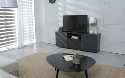 Comment choisir un support ou un meuble adapt&eacute; &agrave; ma t&eacute;l&eacute;vision?