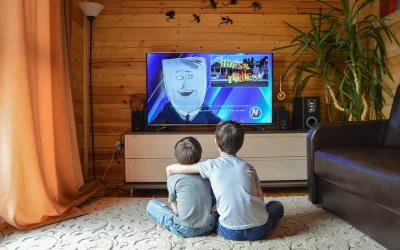 Comment prot&eacute;ger ma t&eacute;l&eacute;vision contre les rayures et les chocs?